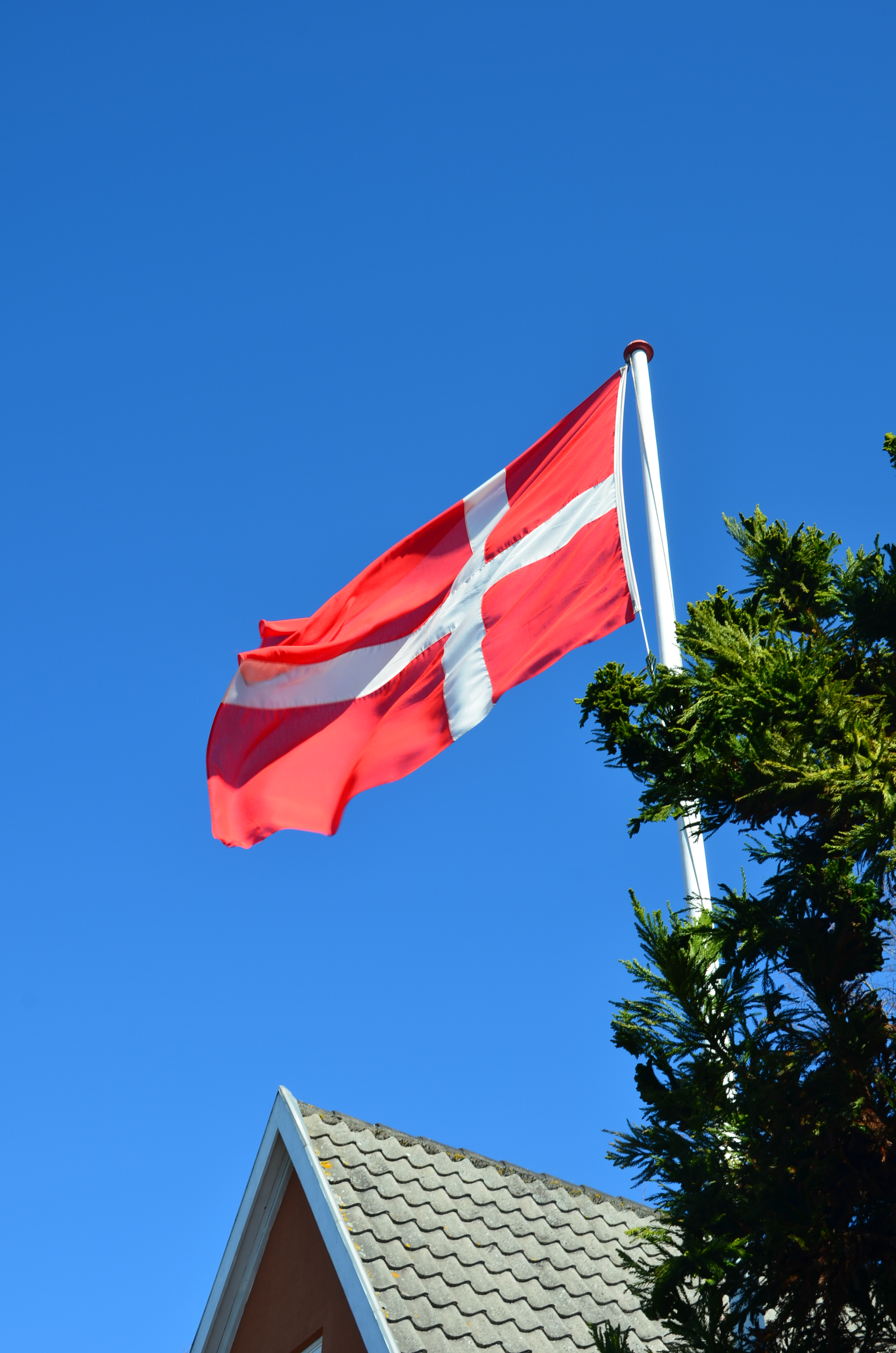 Dannebrog på en himmelblå baggrund